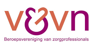 Logo V&VN